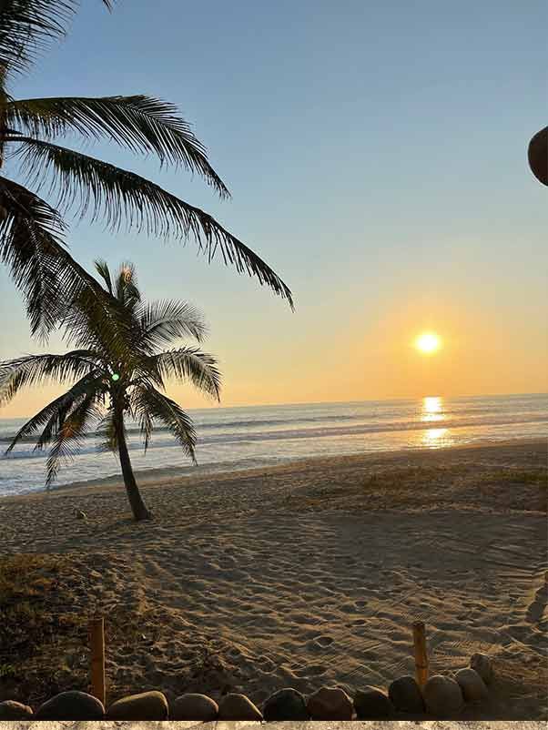Palm trees on a sandy beach at sunset, with the sun reflecting on calm ocean water.