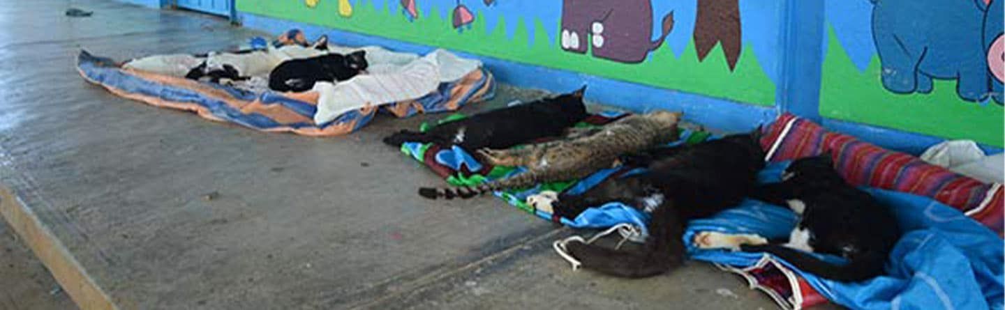 People lying on mats along a wall in a colorful indoor space