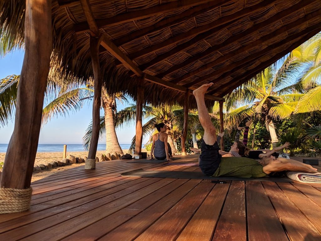 Beachside yoga under a wooden pavilion with palm trees and ocean view
