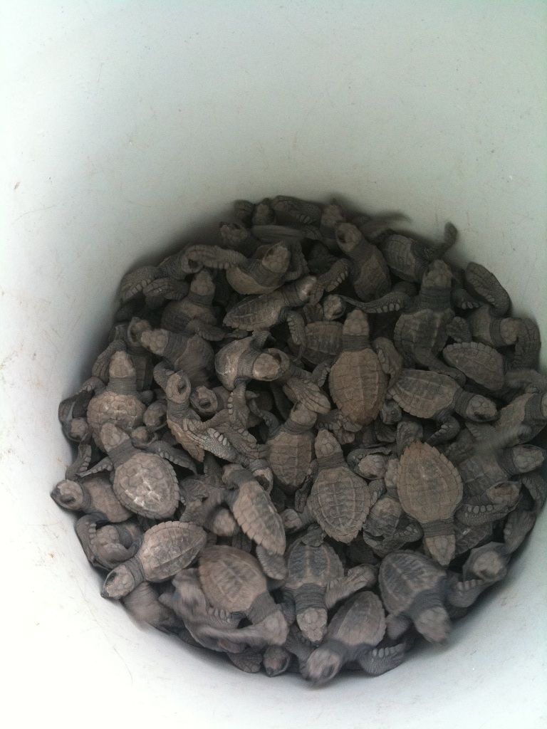 A white container filled with dark brown gravel stones.