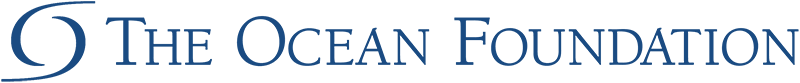 The Ocean Foundation logo with blue wave icon and text