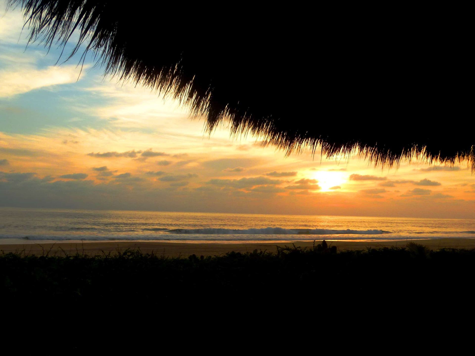 Golden sunset over the ocean with clouds and silhouetted palm fronds framing the top and bottom