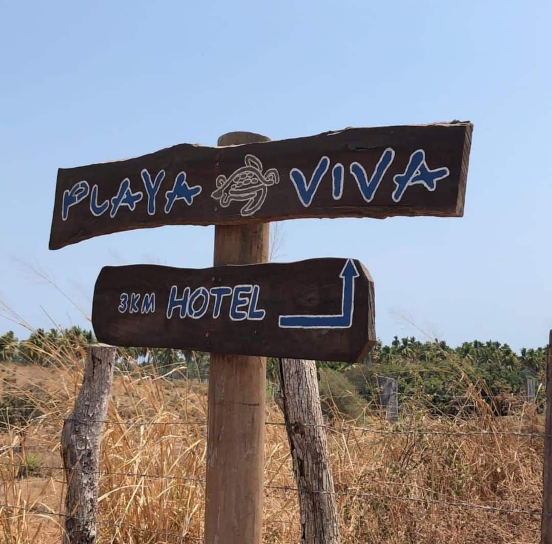 Wooden signposts reading “Playa Viva” and “Eco Hotel” in a dry, grassy landscape under a clear sky