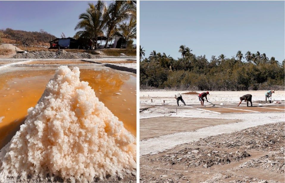 Salt pile in shallow orange water beside workers harvesting salt on a beach