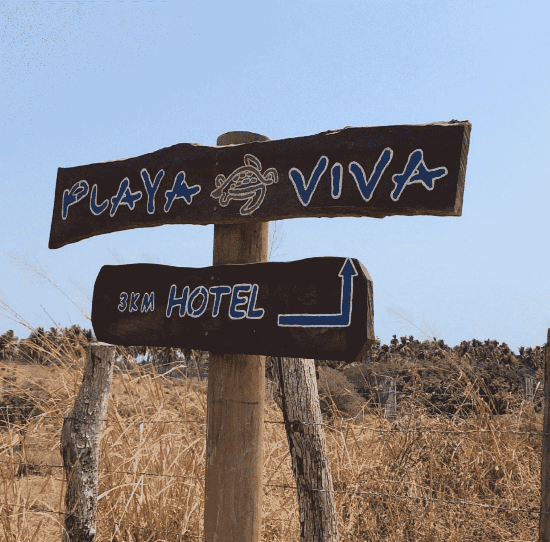 Wooden signs for Playa Viva and B&B Hotel in a dry roadside landscape