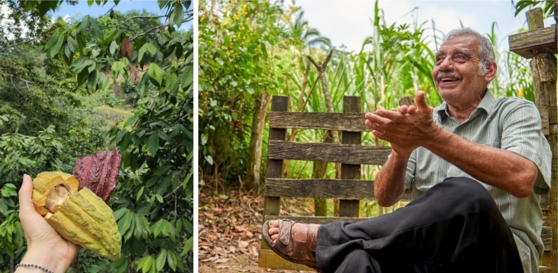 Hand holding a yellow cacao pod beside a smiling man sitting in a lush garden