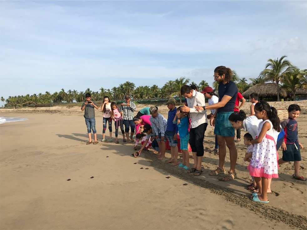 People standing in a line on a sandy beach, looking down and holding items near the shoreline.