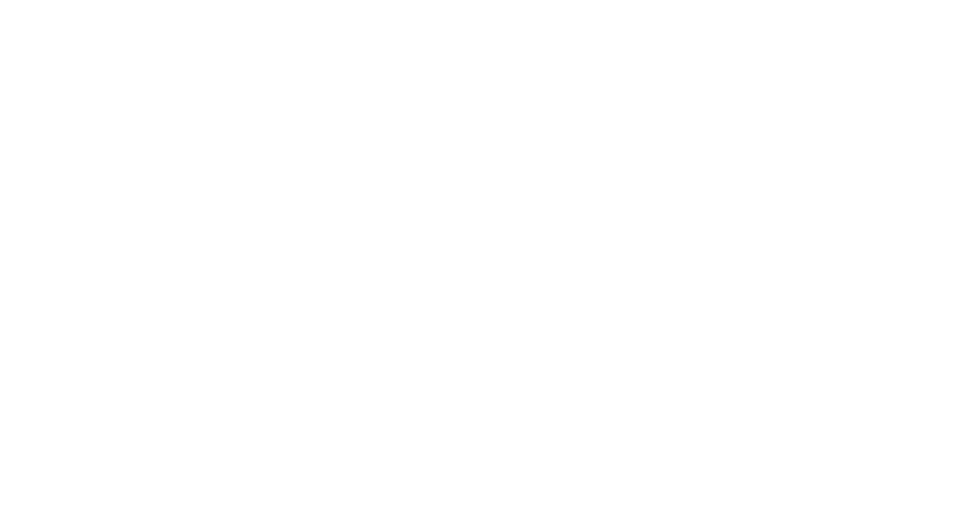 Mostly blank white image with a thin dark horizontal band along the bottom edge