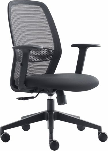 spot chair
