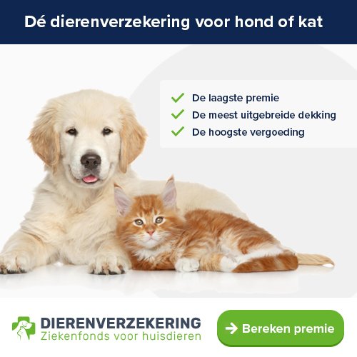 DierOKÉ De rijdende dierenwinkel van Friesland