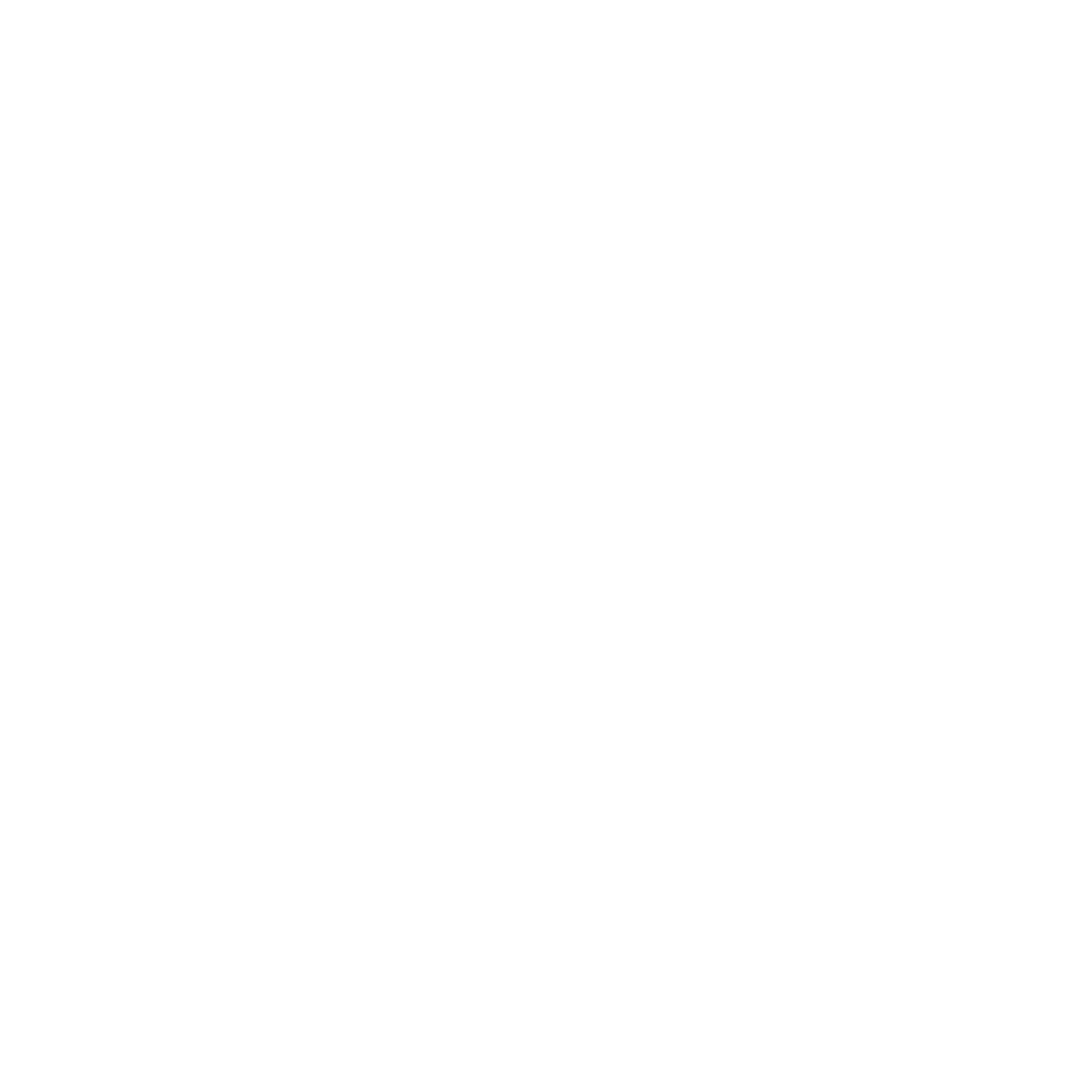 An all-white version of the NordVPN Logo