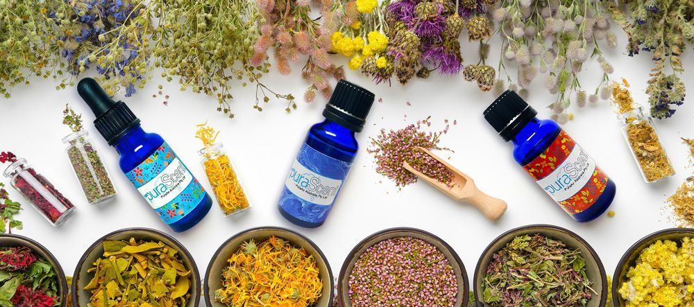 PuraScent Fragrances bottles of essential oil surrounded by bowls of dried herbs