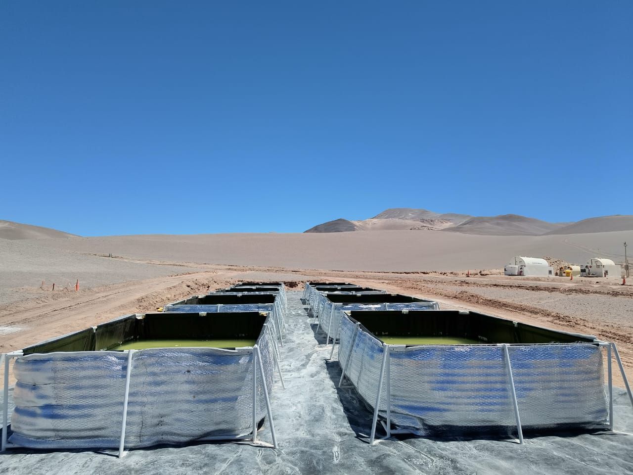 Filas de tanques en un paisaje desértico bajo un cielo azul claro.