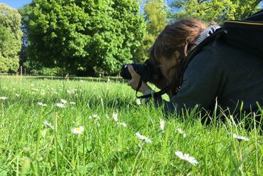Das bin ich: bei der Suche nach der besten Perspektive für mein Fotomotiv Das bin ich: auf dem Bauch liegend im Gras zwischen Gänseblümchen und suche nach der besten Perspektive für mein Fotomotiv