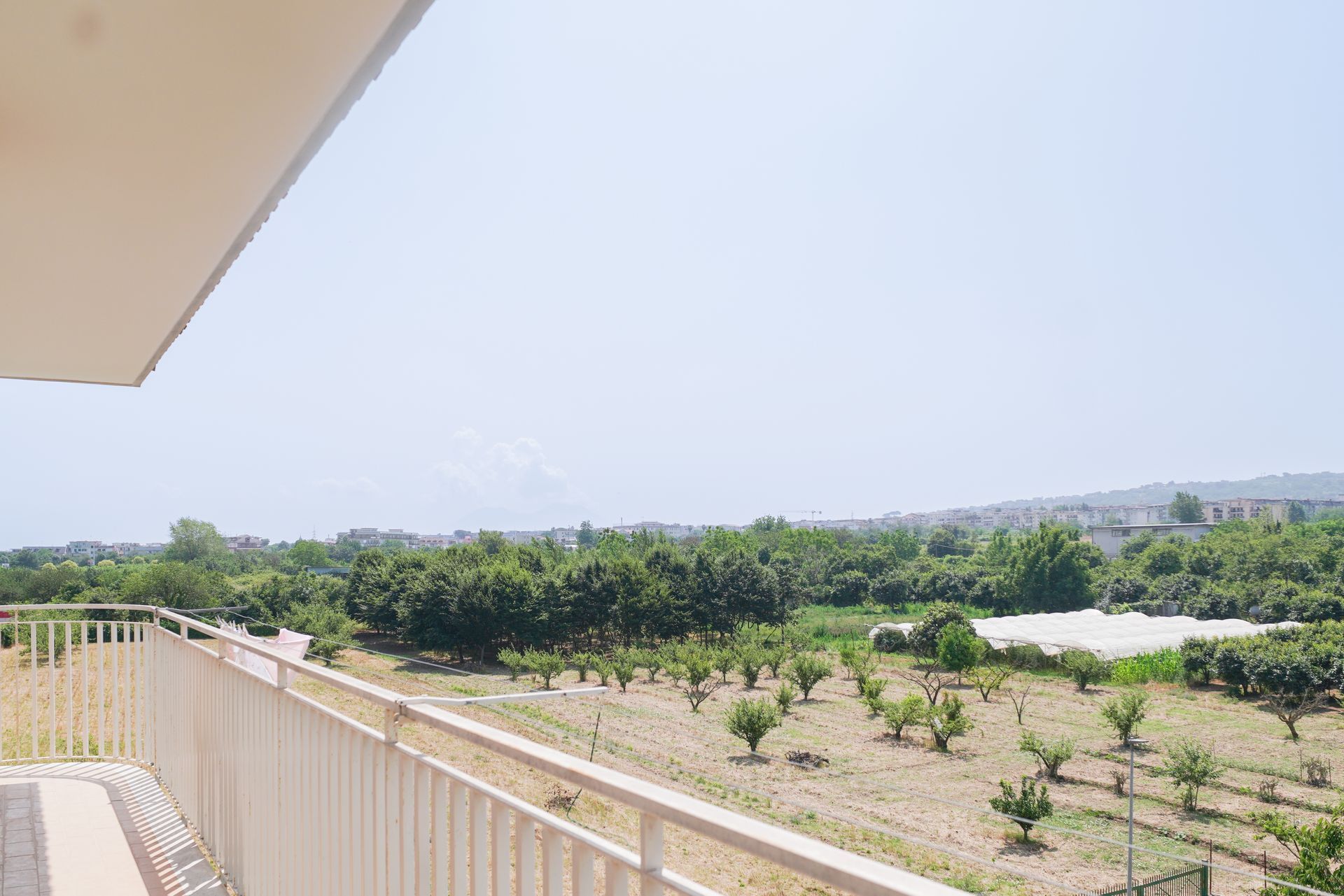 Balcone con vista su un campo di alberi sotto un cielo limpido e soleggiato.