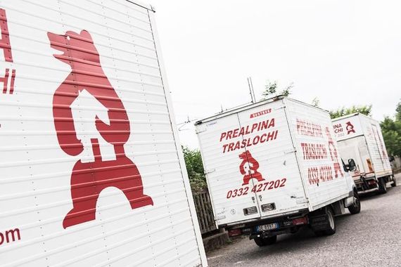 Logo di Prealpina Traslochi e Trasporti con orso rosso.