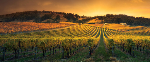 Tips for Planning the Perfect Luxury Weekend Escape