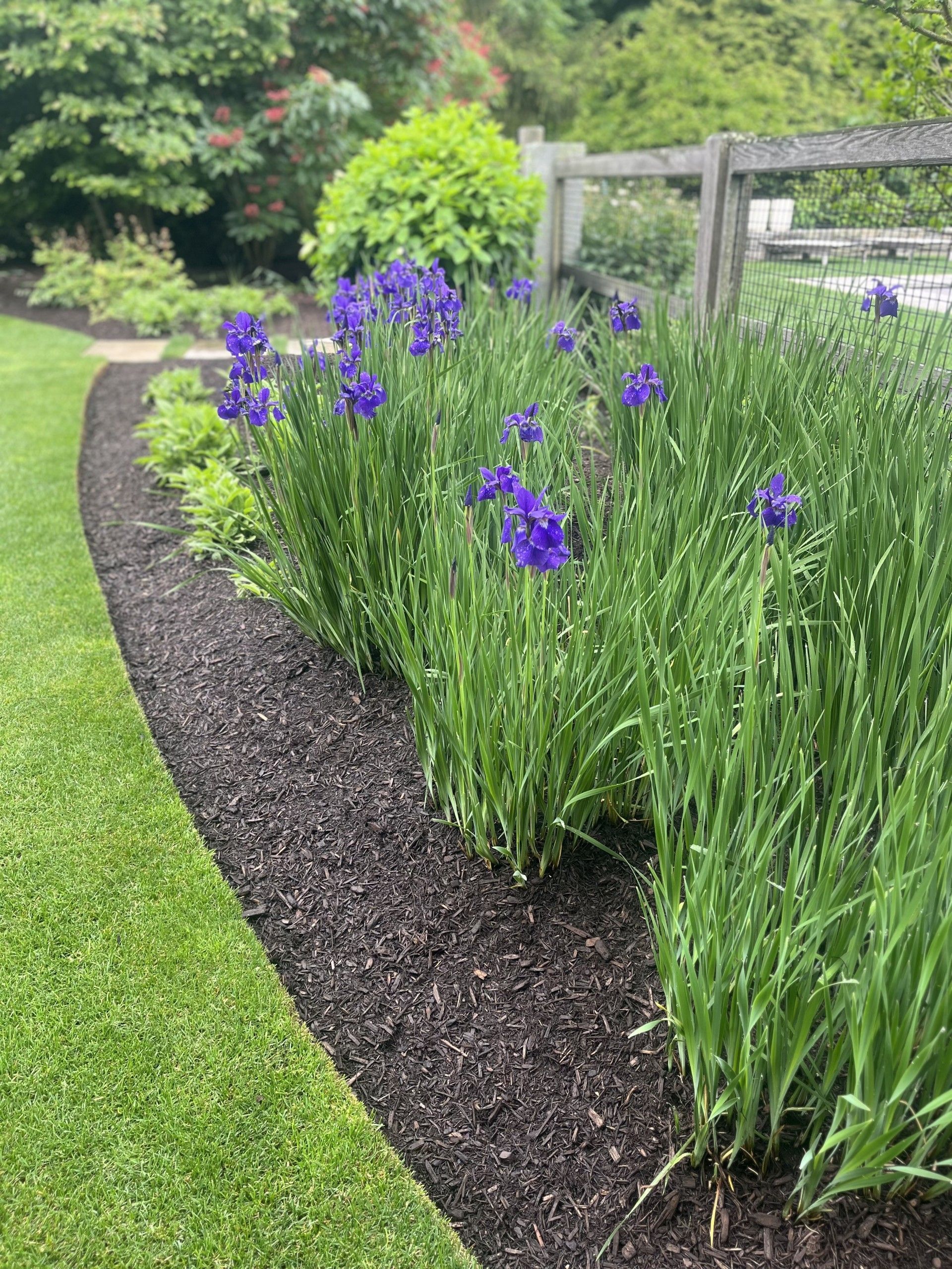 A curved fieldstone retaining wall borders a gravel driveway, topped with a garden bed of colorful mums and shrubs.