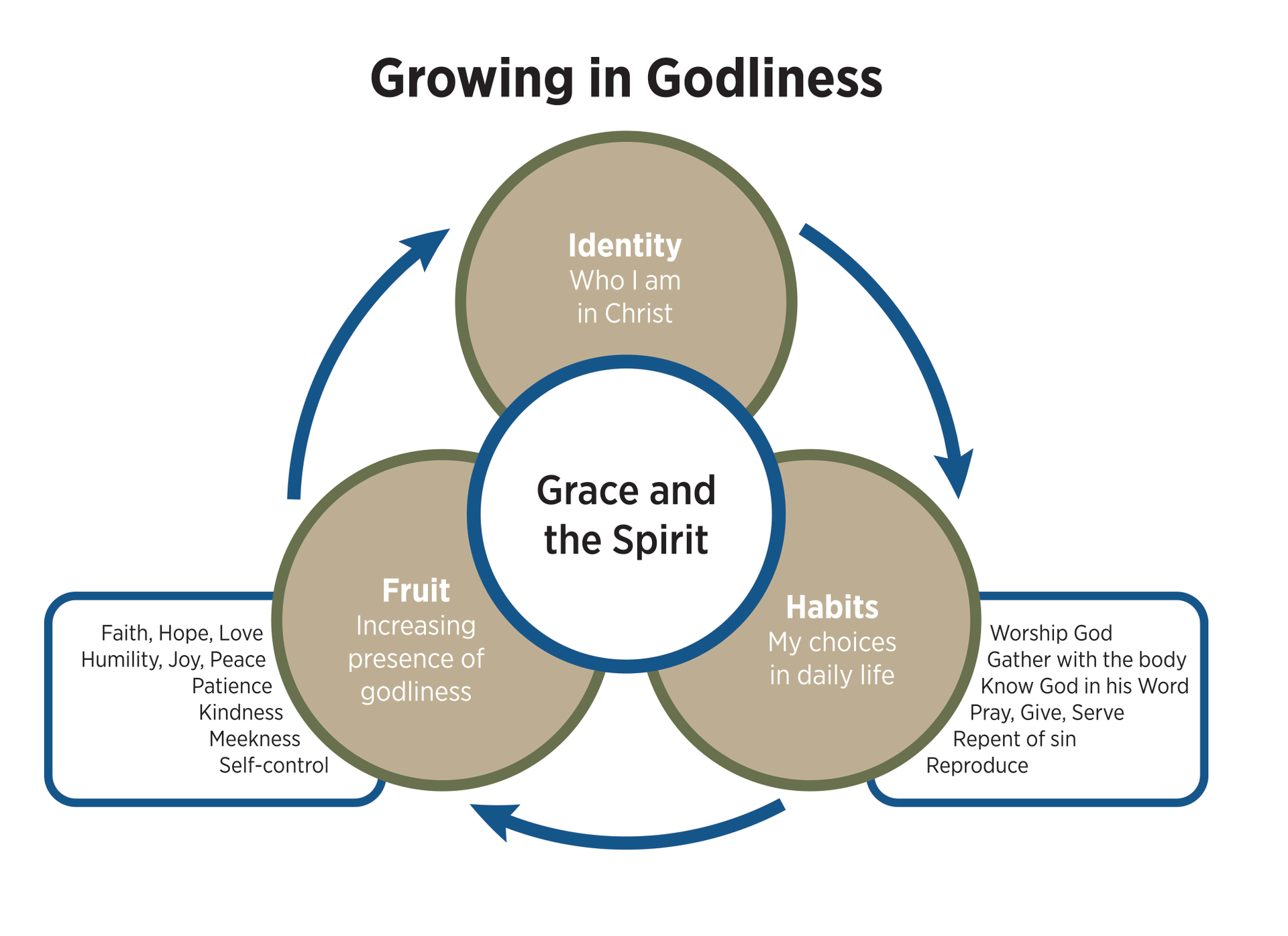 A diagram showing the stages of growing in godliness