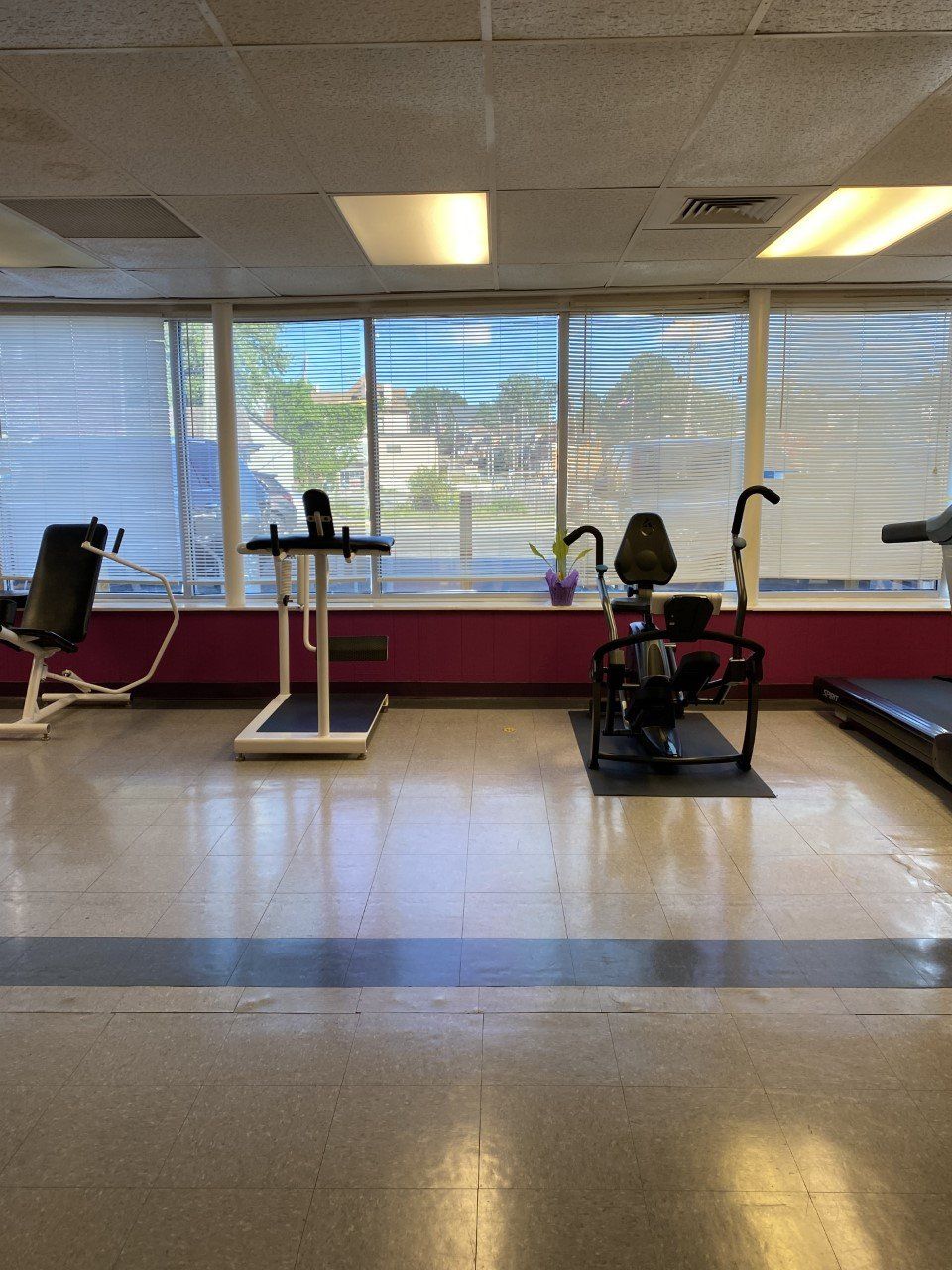 Gym equipment lined up by large windows in an empty fitness room.