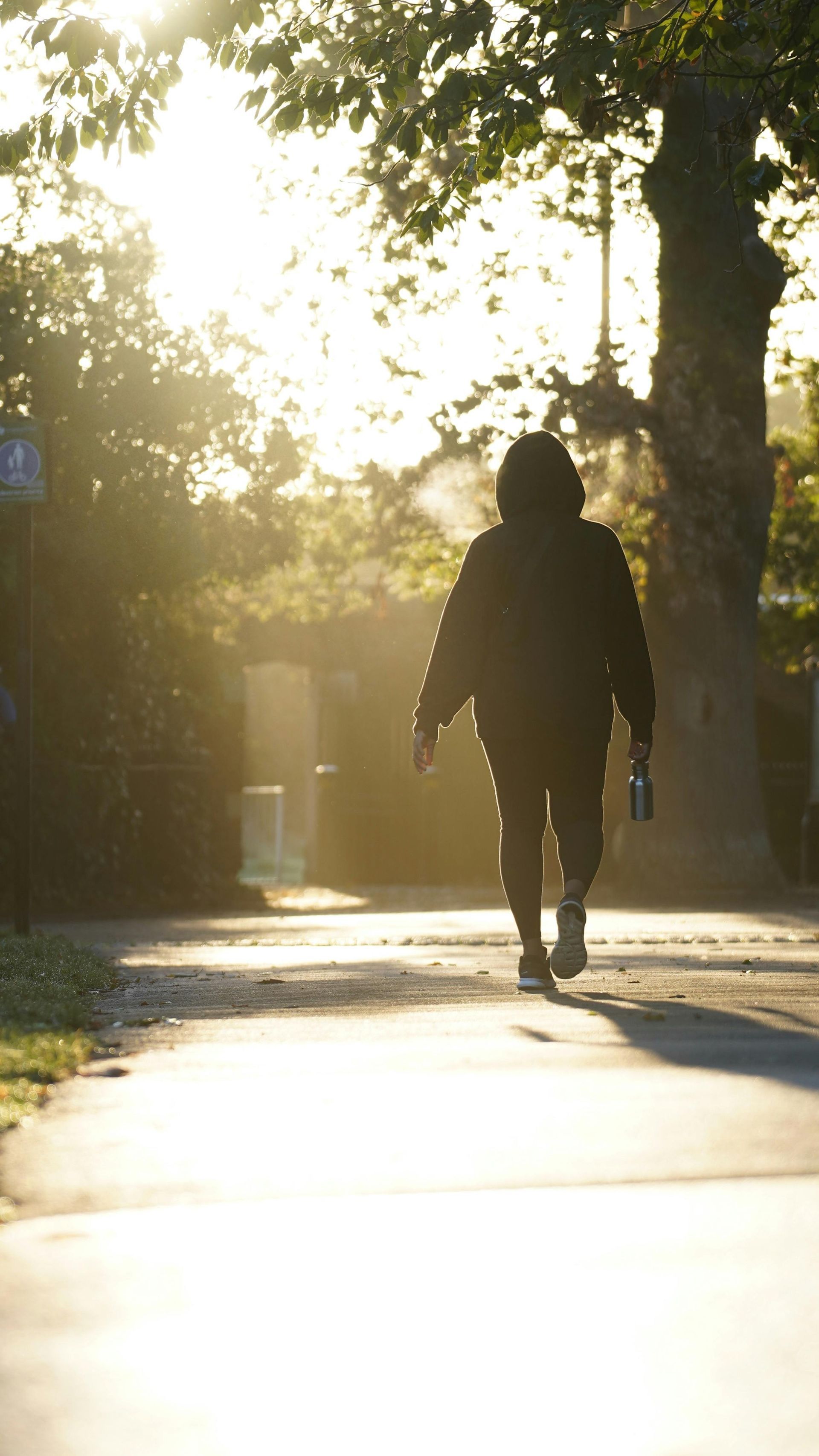 Person walking along a sunlit tree-lined path at dawn