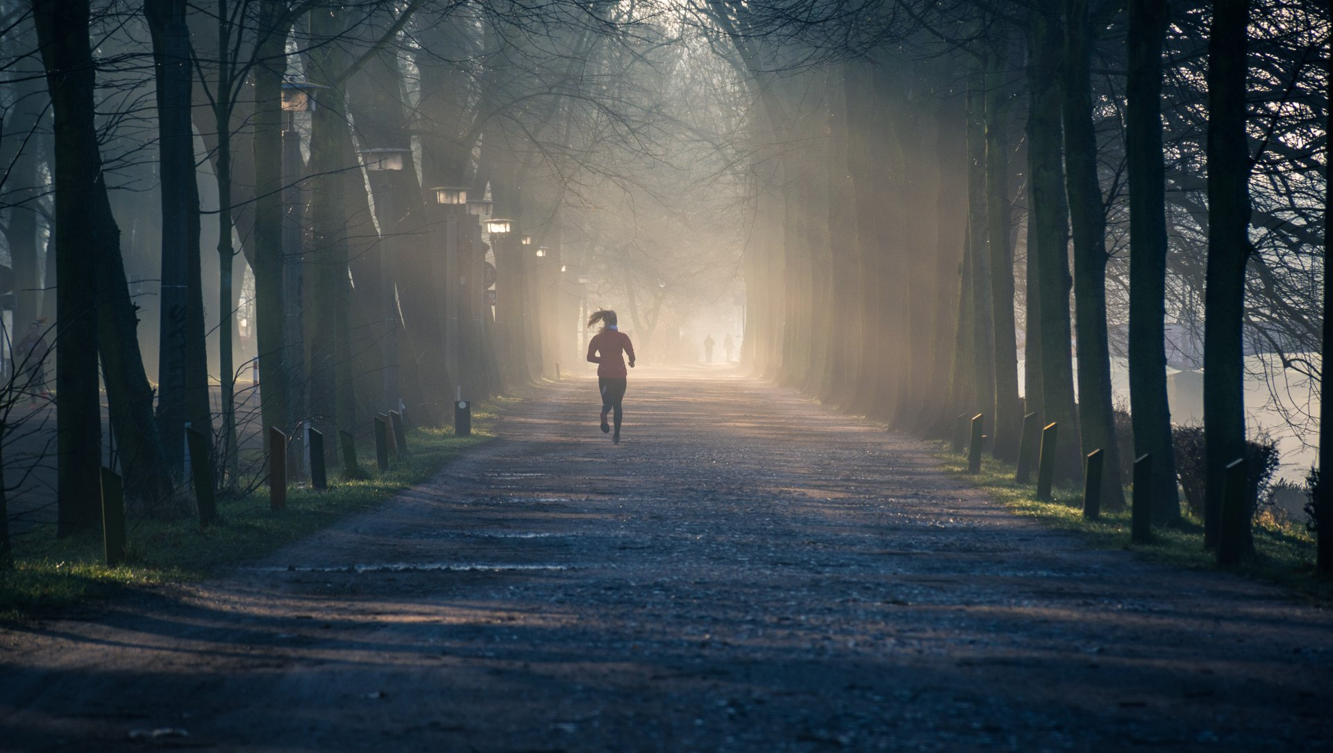 Runner on a foggy tree-lined path at dawn, backlit by soft light