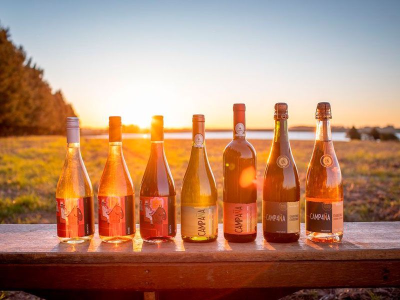 Sete garrafas de vinho dispostas em um banco de madeira ao ar livre ao pôr do sol, com um reflexo dourado do sol ao fundo.