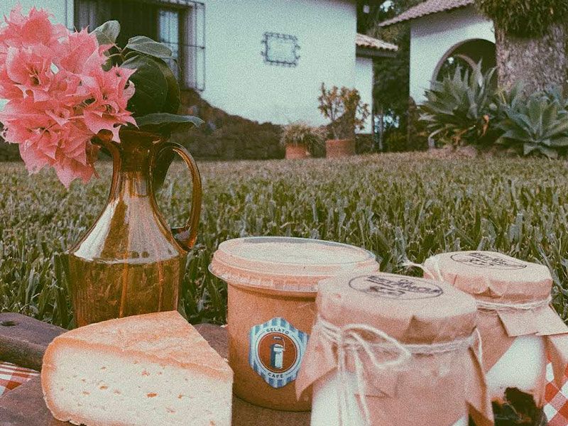 Uma fatia de queijo, uma banheira e dois potes embrulhados em papel estão sobre um gramado perto de um jarro com flores de buganvília rosa.