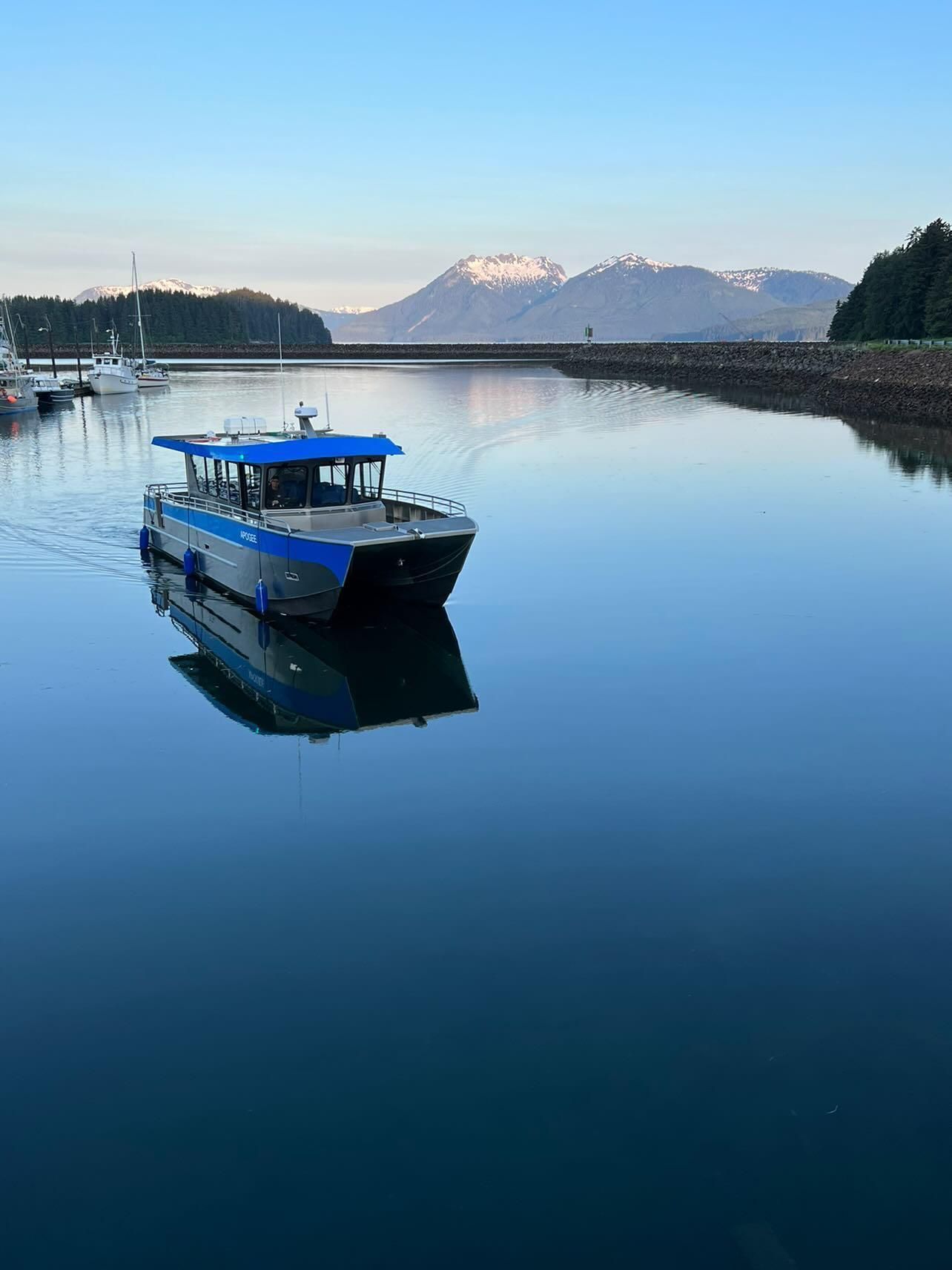 40 foot custom aluminum catamaran used as a whale watching boat in alaska.