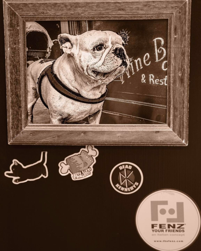 Una foto incorniciata di un bulldog con un cartello che dice 