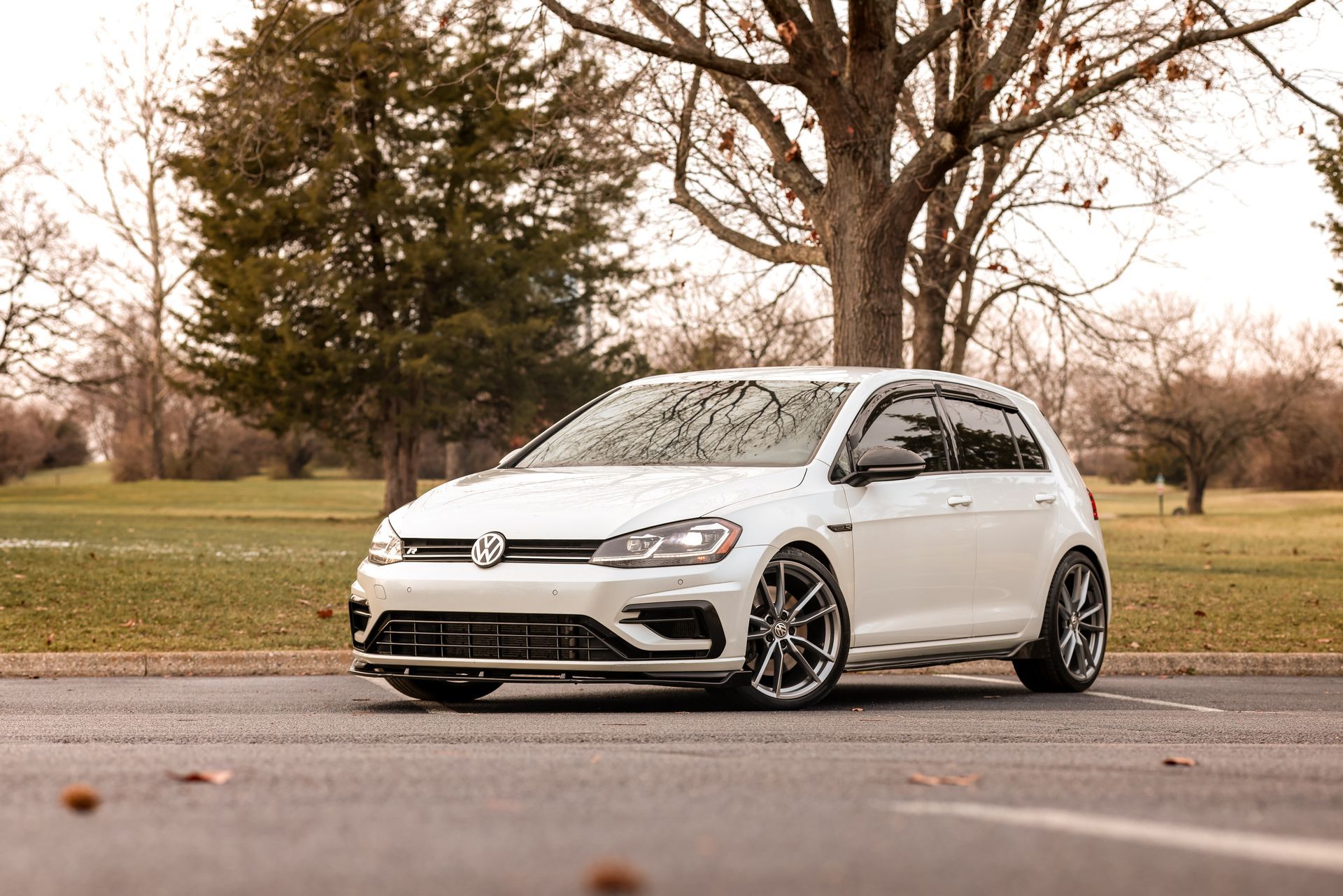 White Volkswagen hatchback parked on a road beside a grassy park with trees in the background