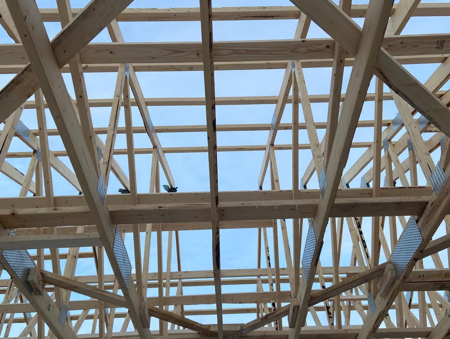 Exposed wooden roof framing against a blue sky during construction
