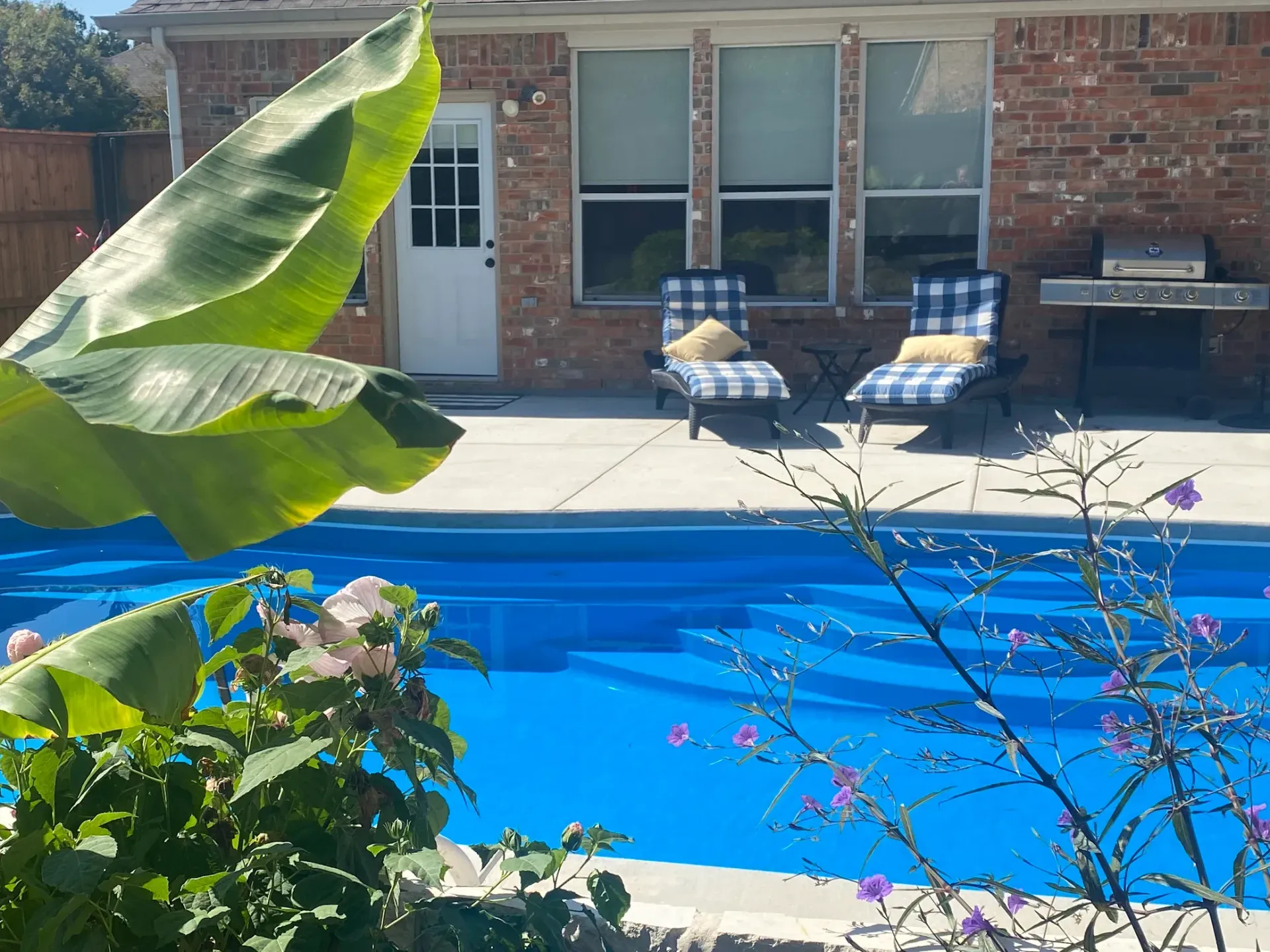 Backyard pool with lounge chairs against a brick patio wall, framed by tropical leaves and flowers.