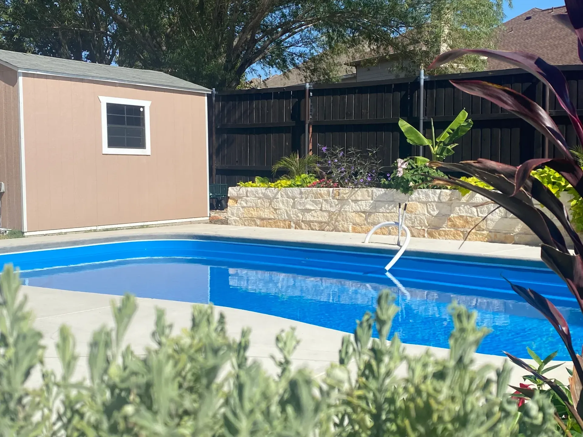 Backyard pool with blue water, stone wall, beige shed, and tropical plants on a sunny day