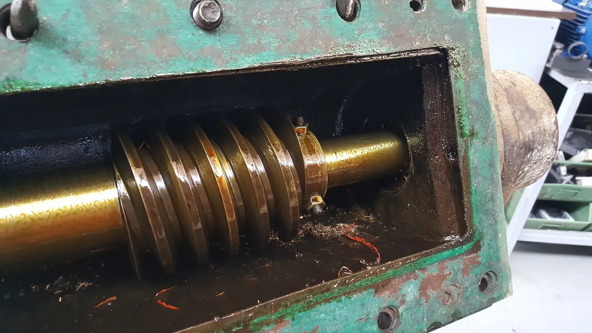 Primo piano di una vite senza fine lubrificata con olio all'interno di un alloggiamento metallico verde.