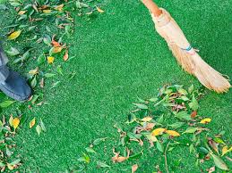 Artificial grass maintenance in Nottingham