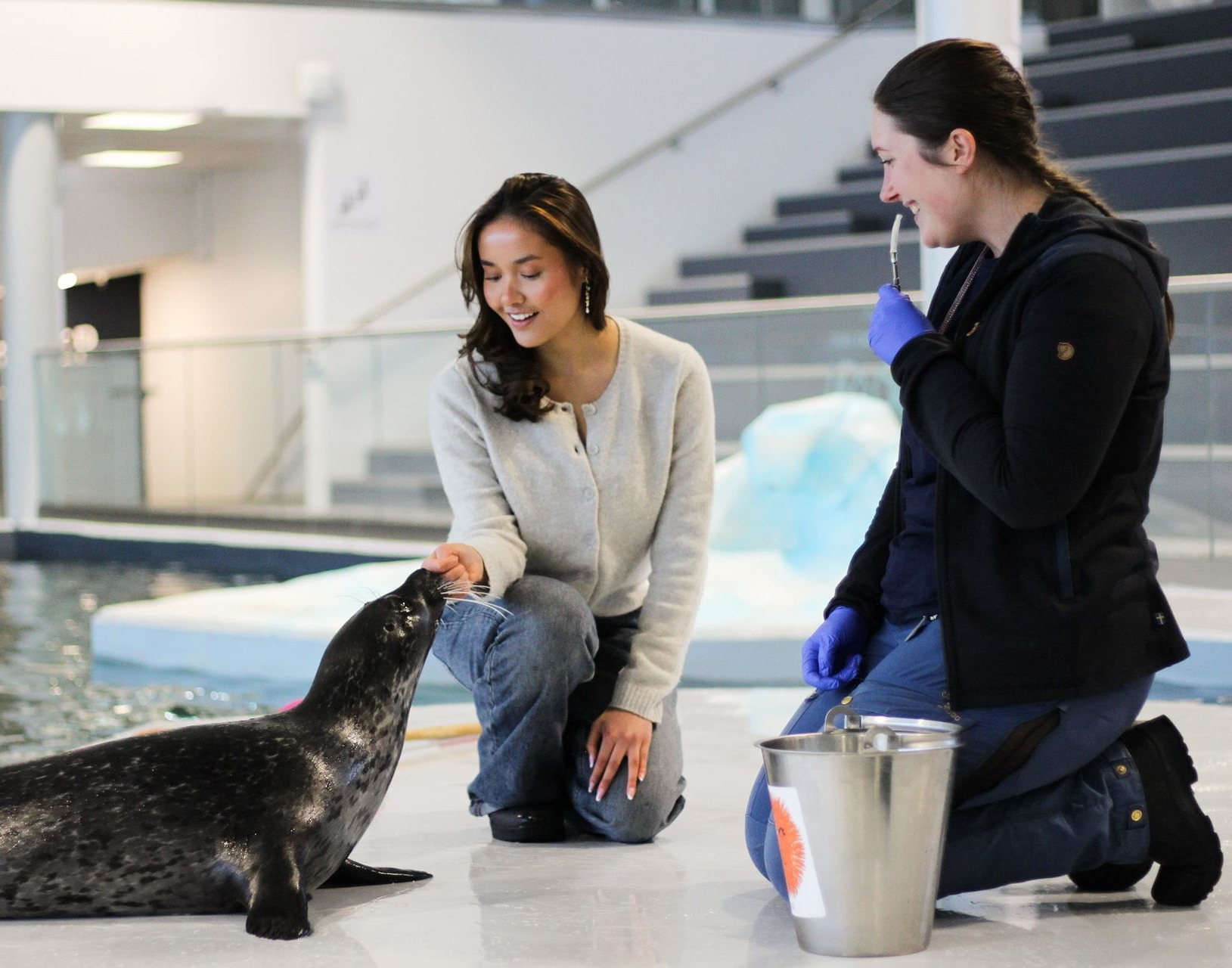 Woman interacting with a seal in a pool; another person watches and smiles, holding a tool.
