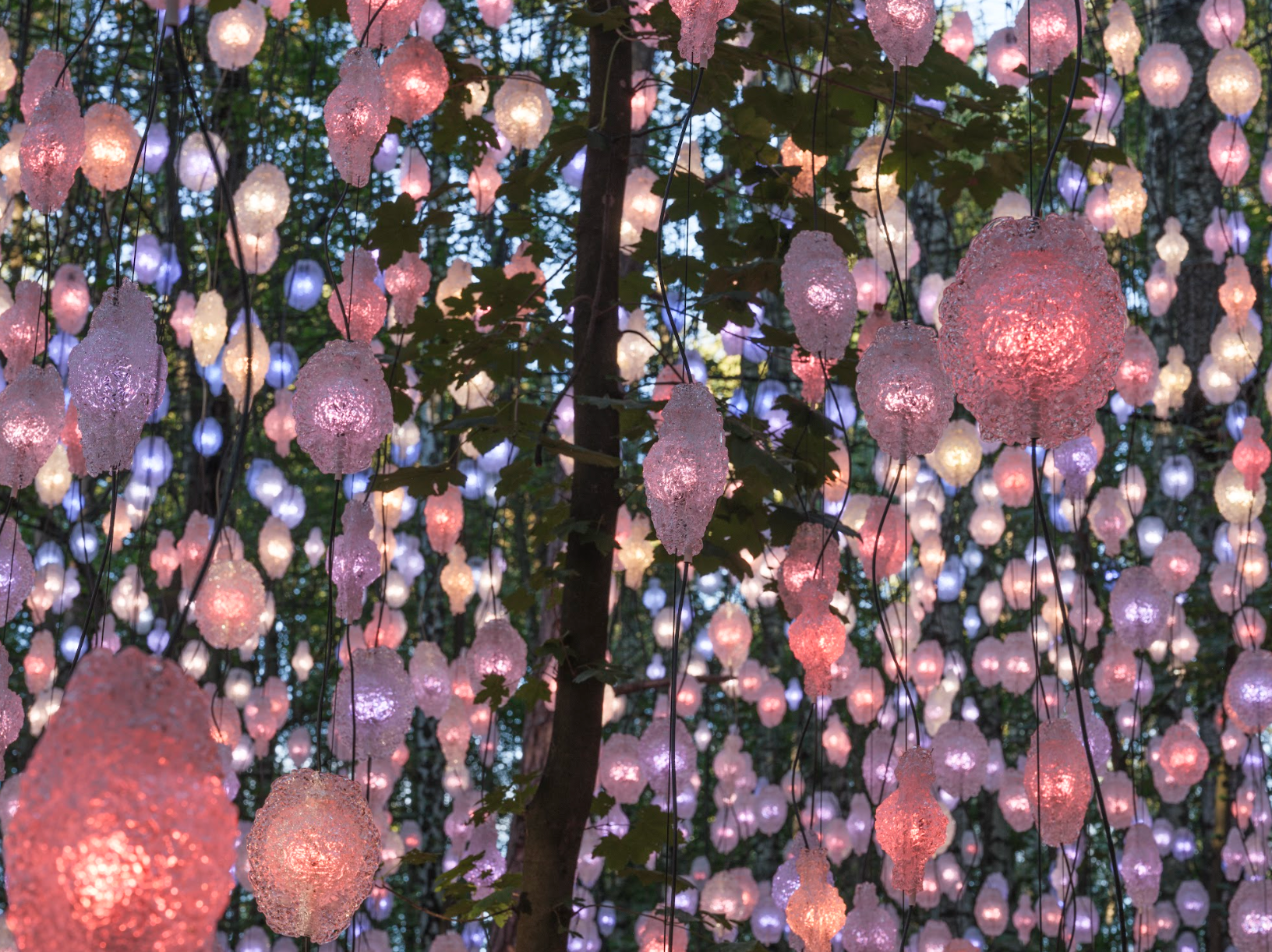 Pink and white glowing orbs hang from tree branches.