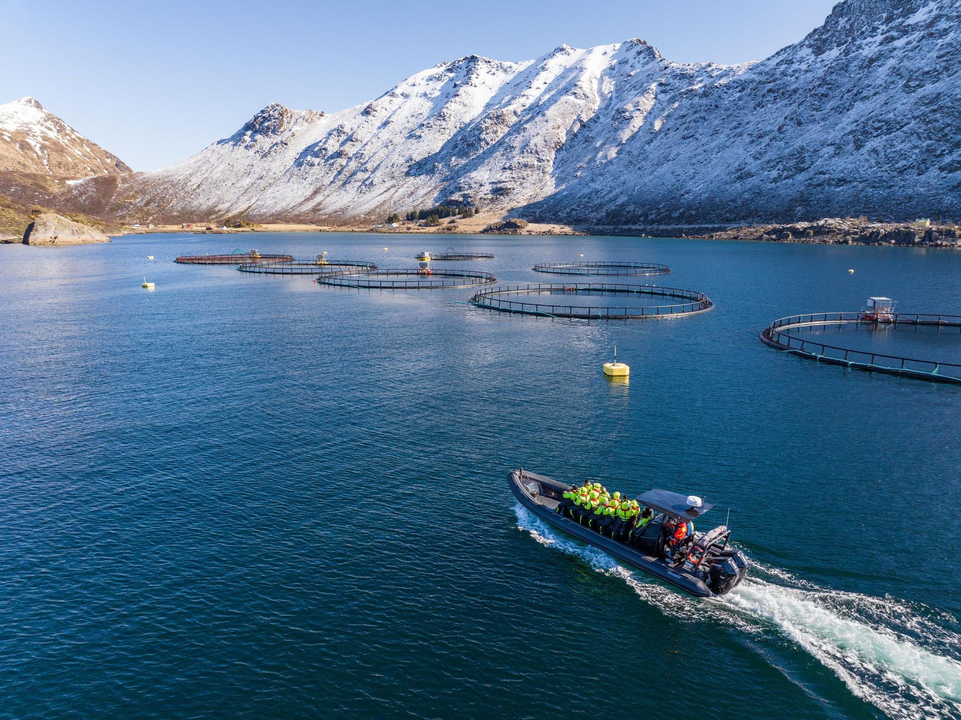 Lofoten Seafood