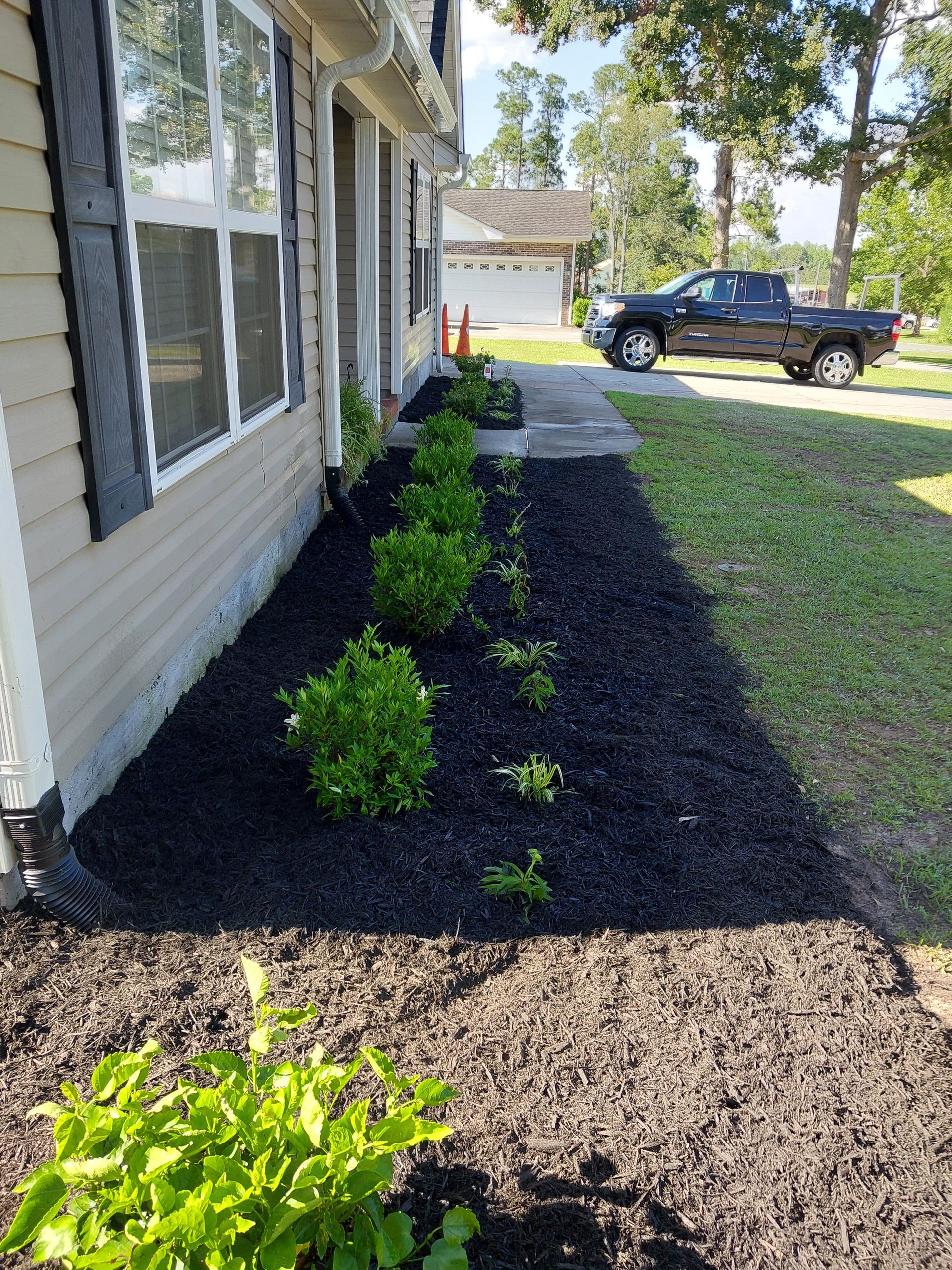 A house with a dark mulch flower bed containing green bushes. A black pickup truck is parked in the background.