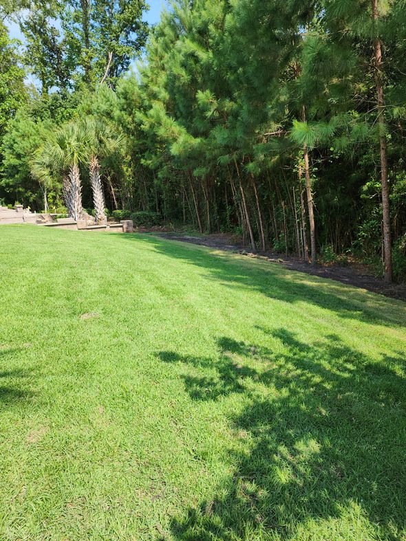 Lush green lawn with shadows, bordered by a row of trees on one side and a stone structure in the distance.
