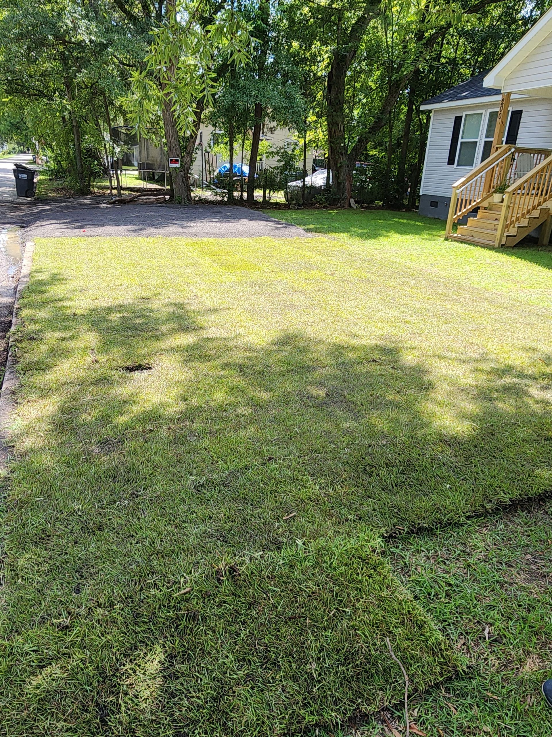 A freshly cut lawn in a residential yard, with a house in the background. Green grass covers most of the frame.