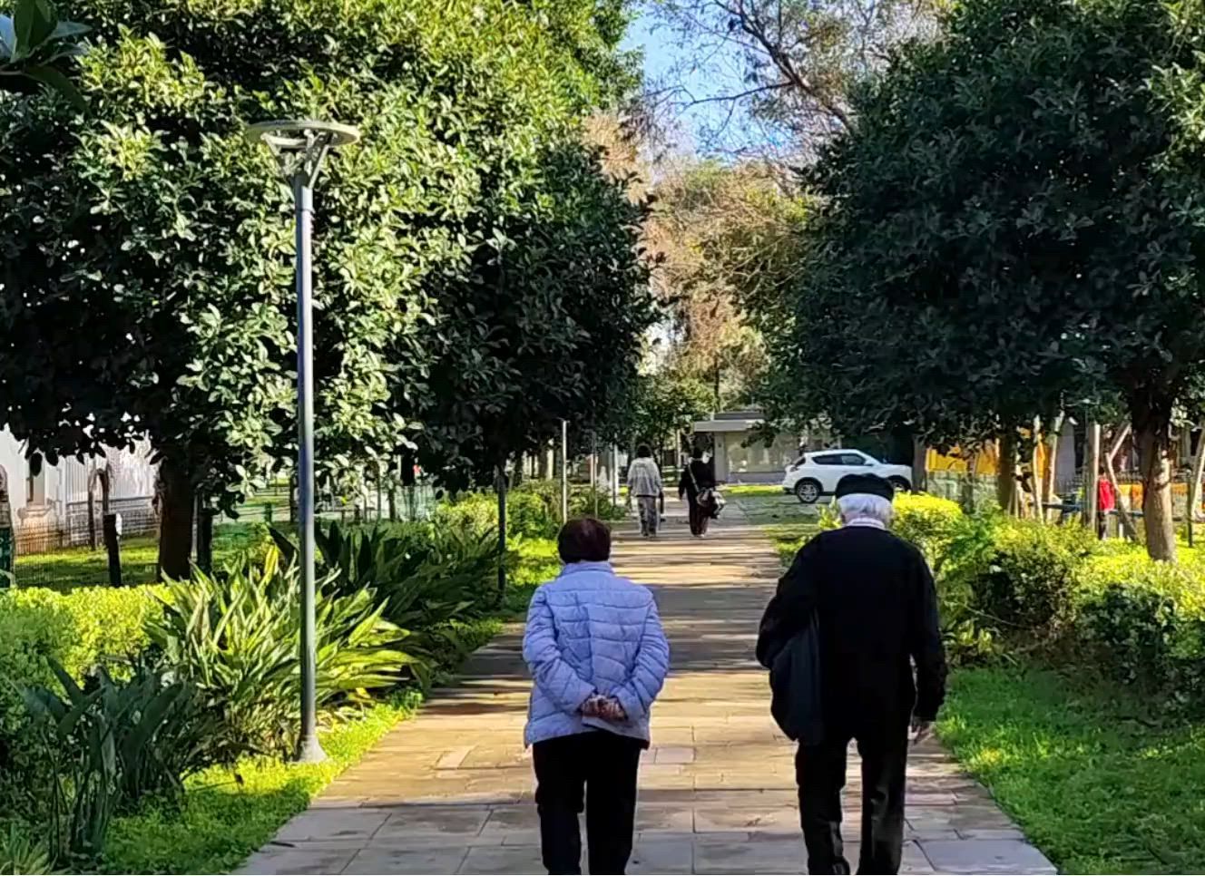 Due persone camminano lungo un sentiero alberato in un parco in una giornata di sole.