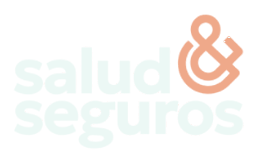 Logo tipográfico de SALUD & SEGUROS SAS con isotipo de cruz y escudo de salud.