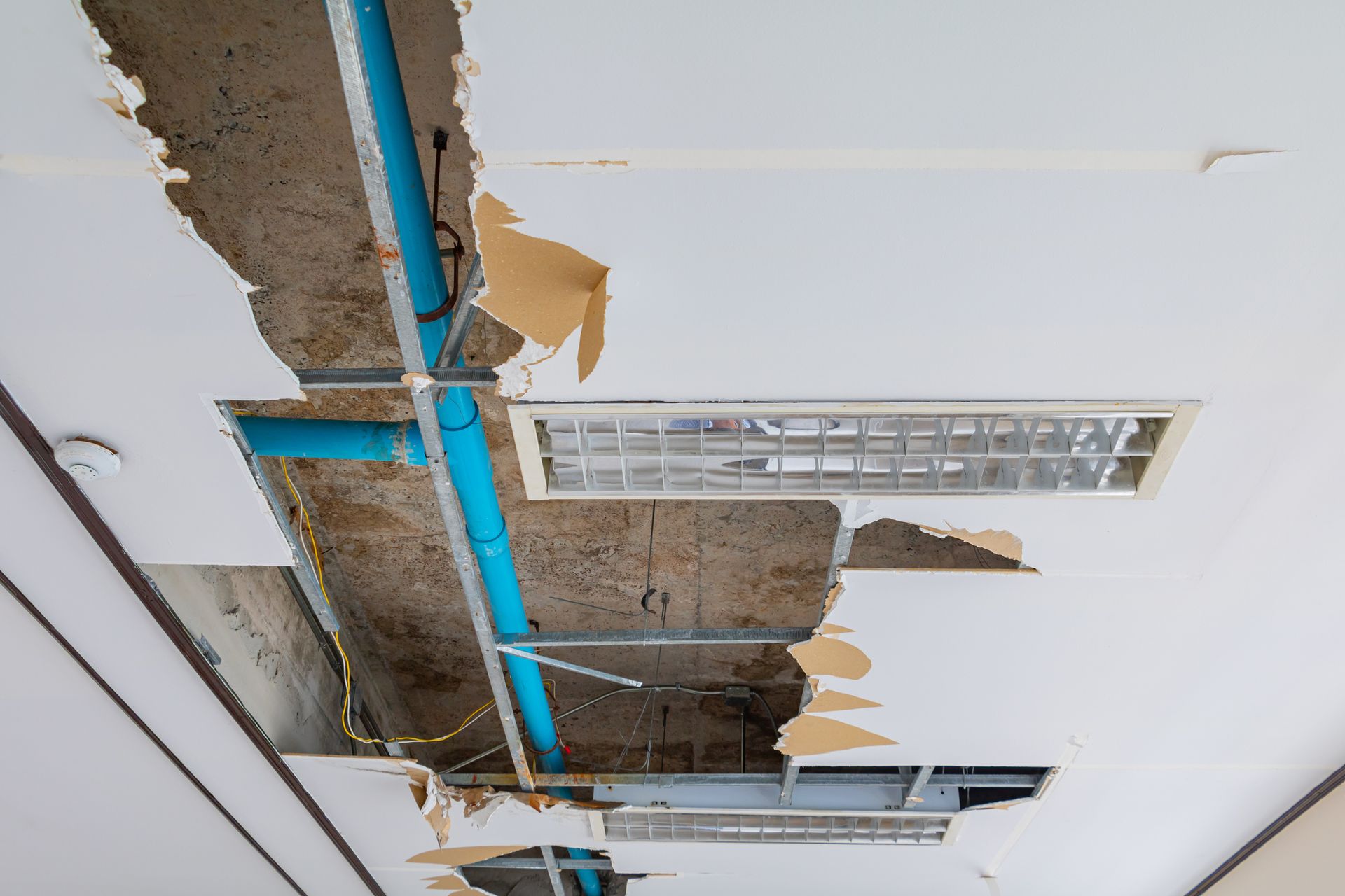 Commercial Restoration - Lansing, MI - Sunrise Cleaning & Construction Services