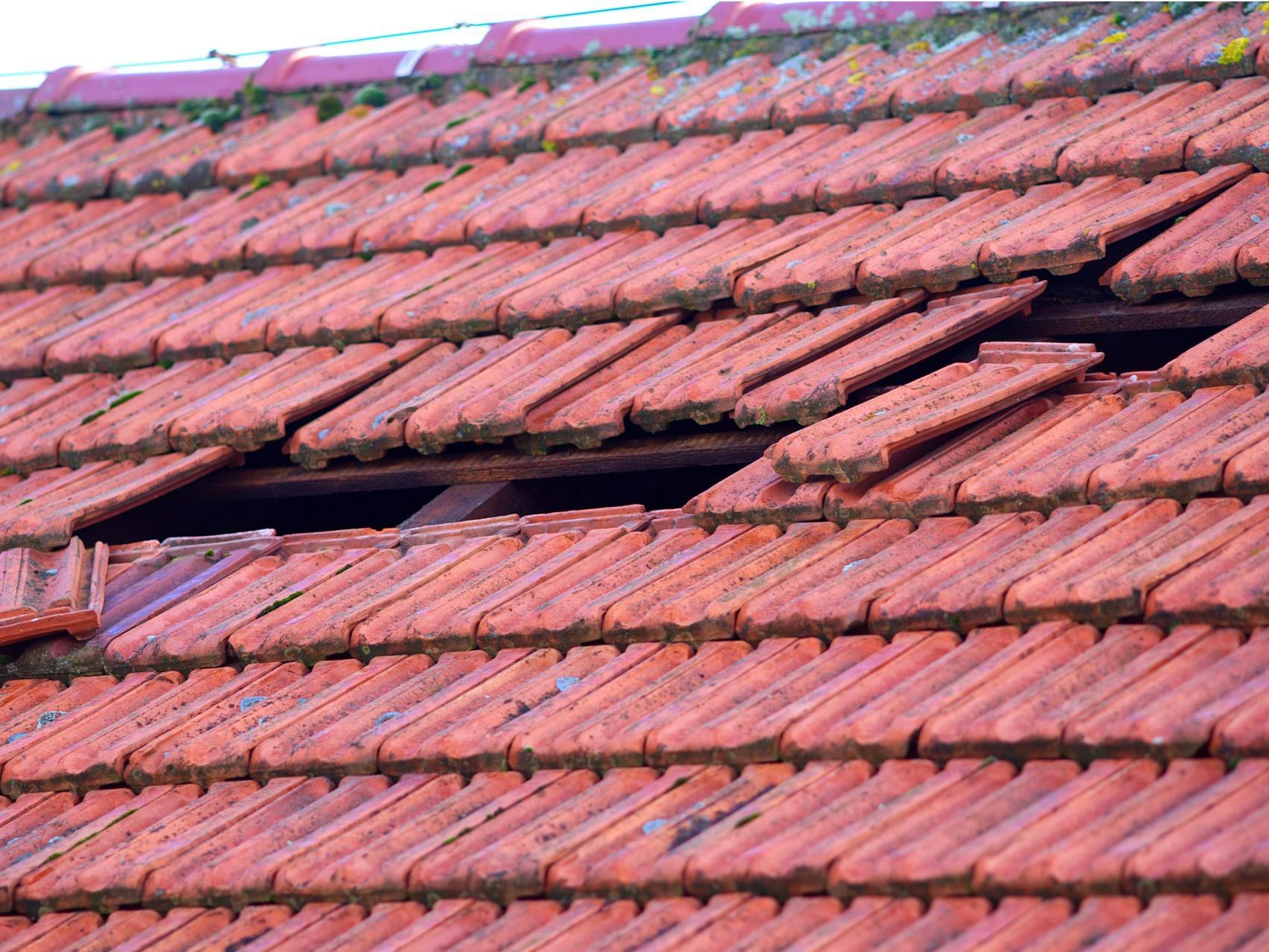Wind Damage - Lansing, MI - Sunrise Cleaning & Construction Services
