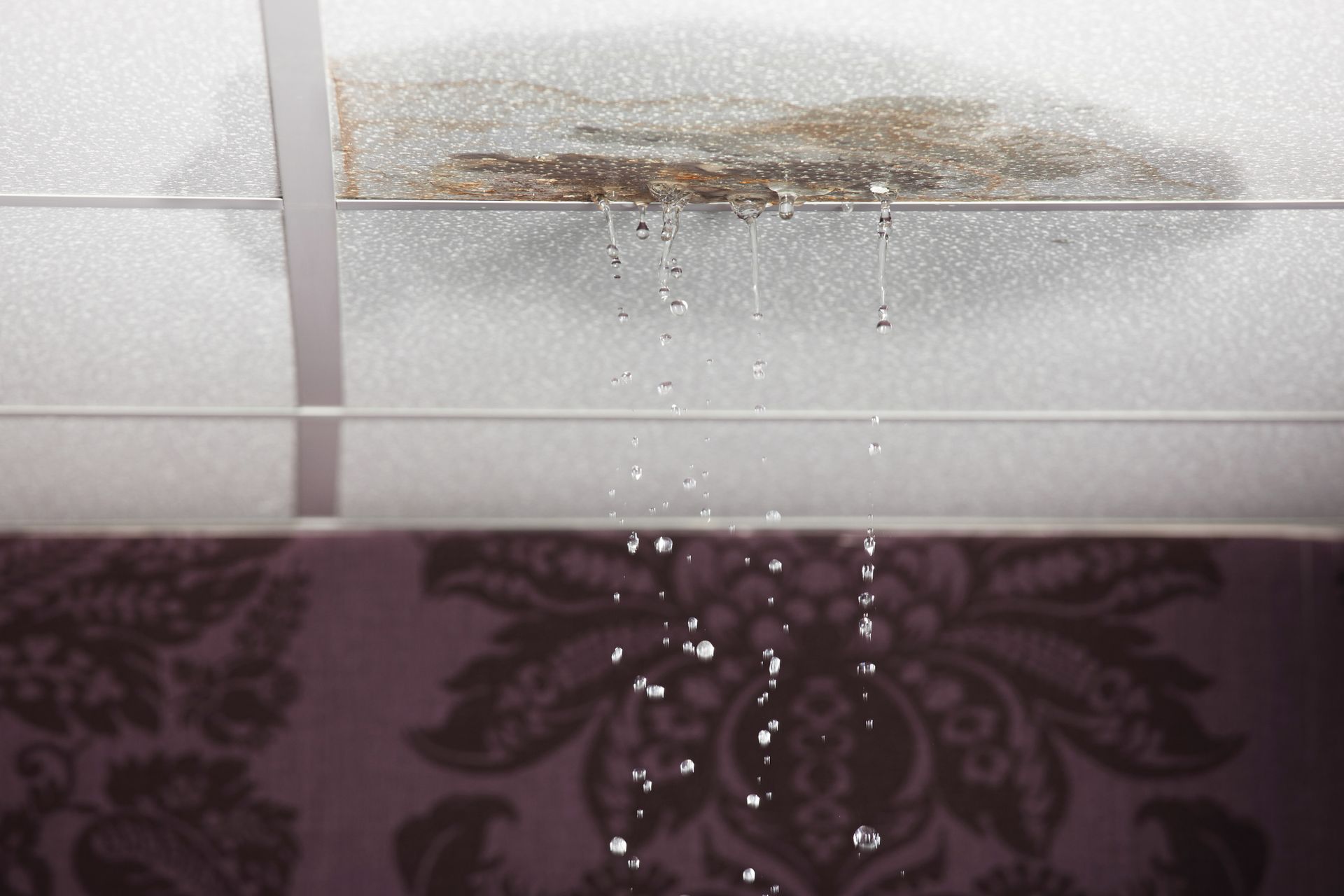 Water Damage - Lansing, MI - Sunrise Cleaning & Construction Services
