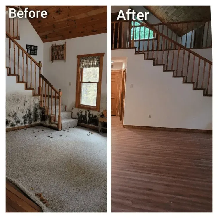 Before and after of a room renovation, with moldy wall and stained carpet replaced by a clean wall and wood-look flooring.