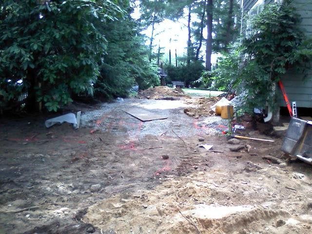 Cleared forest path with dirt ground, scattered debris, and tall trees on both sides