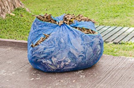 Blue garden waste bag filled with leaves on a sidewalk beside a grassy yard